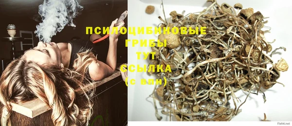 каннабис Алзамай