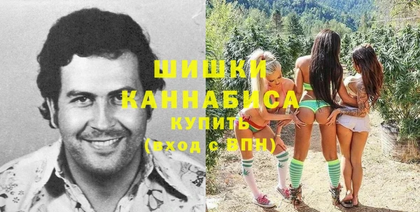 сатива Абинск