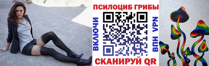 Псилоцибиновые грибы GOLDEN TEACHER  Анапа 
